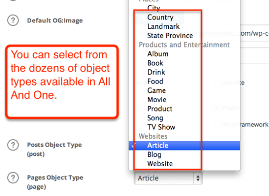 all in one seo object type options
